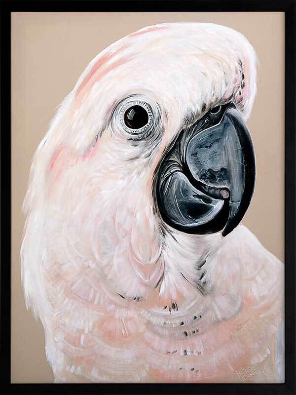 Moluccan Cockatoo Framed Art Print