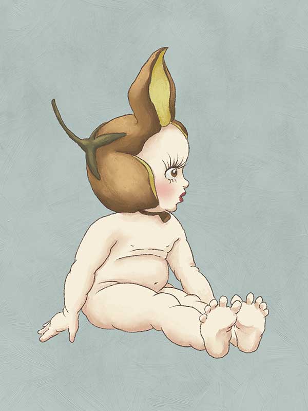 Boronia Baby II Light Blue Canvas Art Print