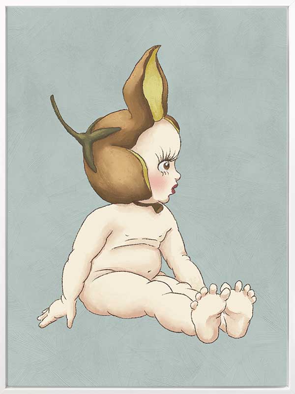 Boronia Baby II Light Blue Canvas Art Print