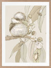 Kookaburra and Company wall art featuring a detailed kookaburra and gumnut babies in a vintage May Gibbs design from the May Gibbs II Wall Art Collection.