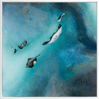 Stingrays Canvas Art Print