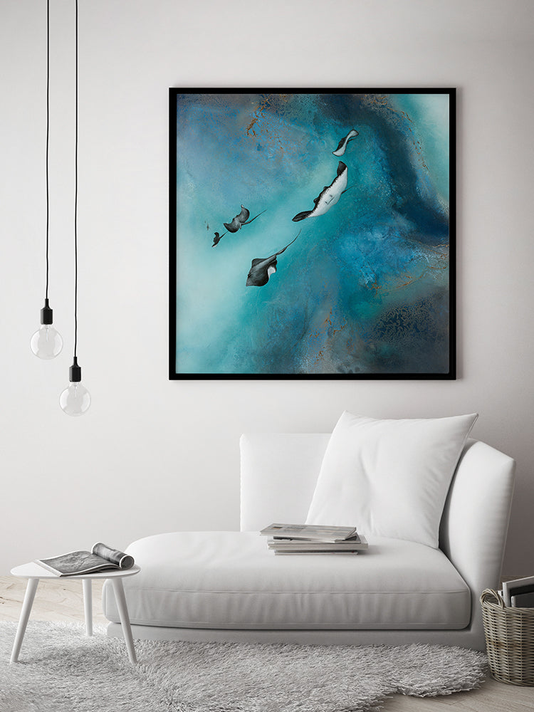 Stingrays Canvas Art Print | Lifestyle