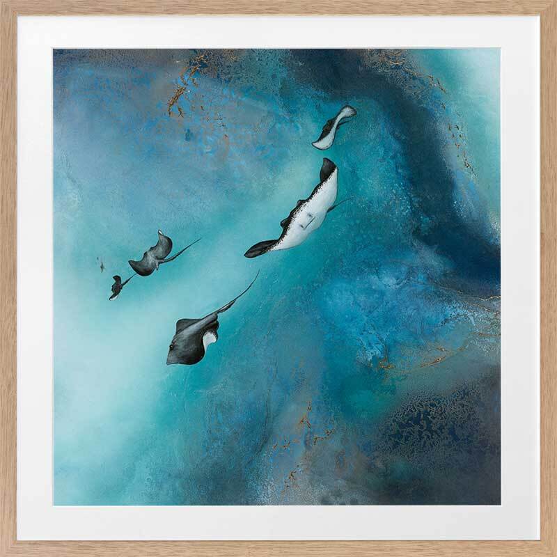 Stingrays Framed Art Print