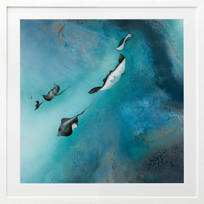 Stingrays Framed Art Print