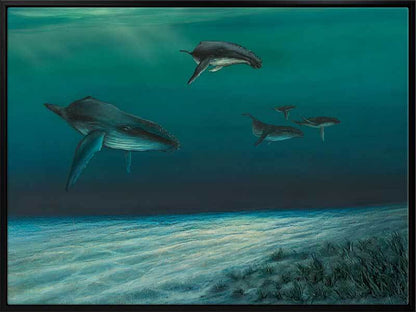 Whales Canvas Art Print