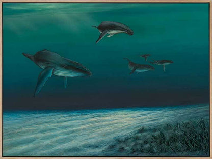 Whales Canvas Art Print