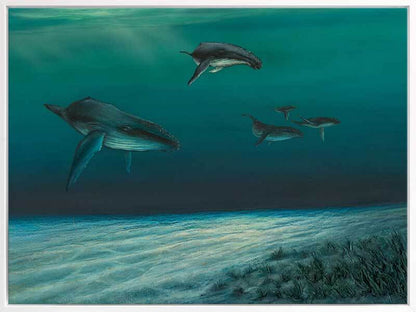 Whales Canvas Art Print