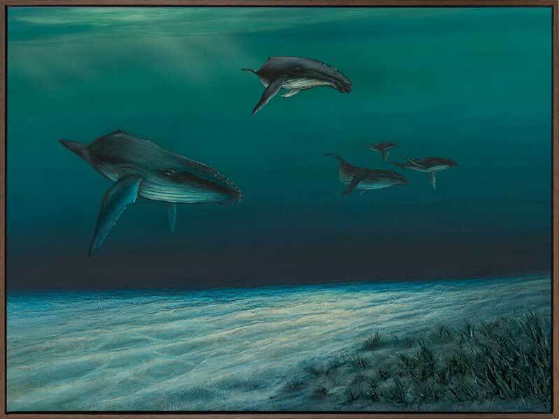 Whales Canvas Art Print