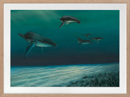 Whales Framed Art Print