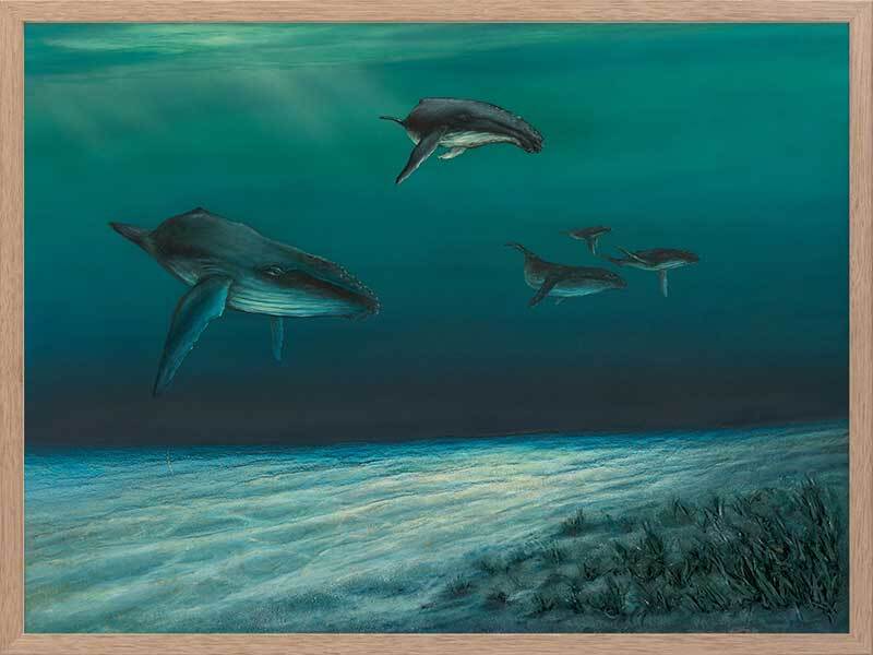 Whales Canvas Art Print