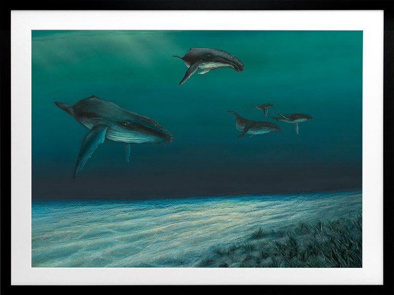 Whales Framed Art Print