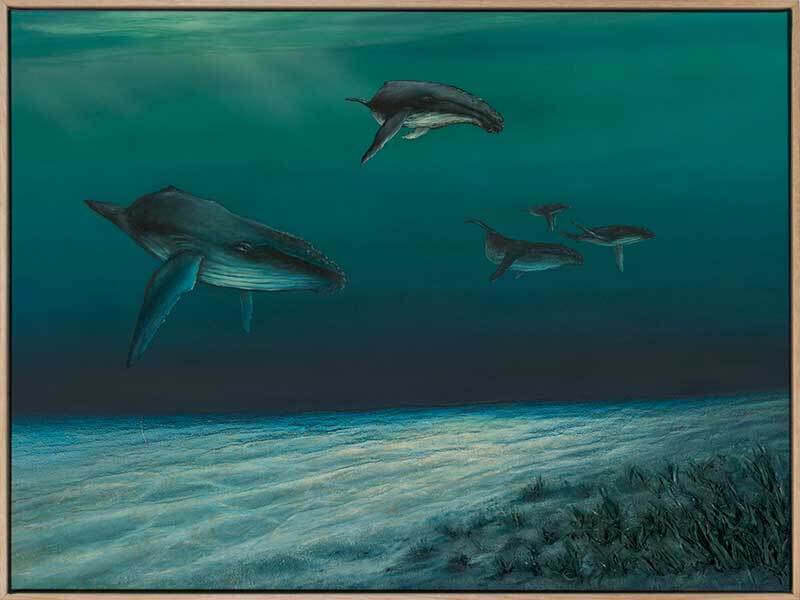 Whales Canvas Art Print