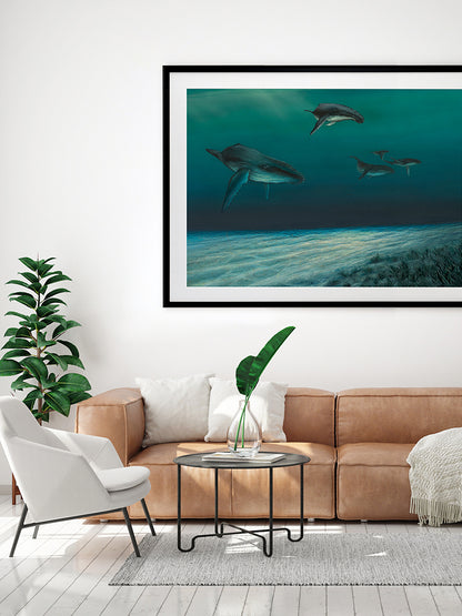 Whales Framed Art Print