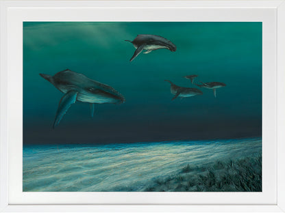 Whales Framed Art Print