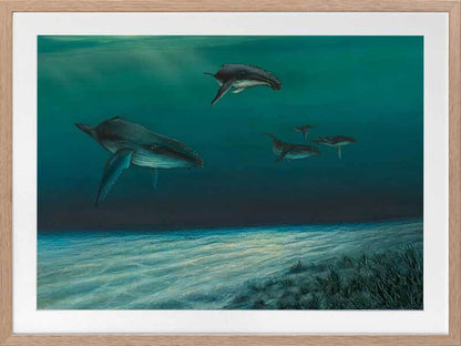 Whales Framed Art Print