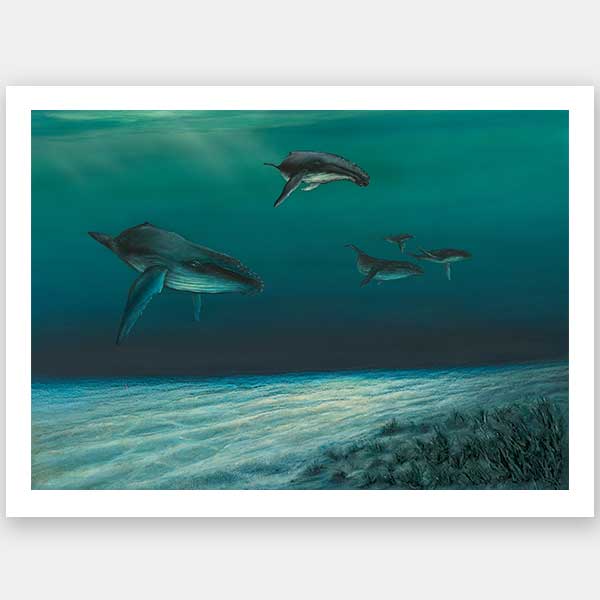 Whales Unframed Art Print