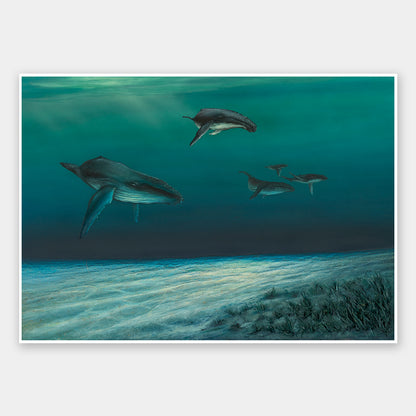 Whales Unframed Art Print