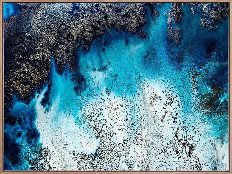 Break Away Canvas Art Print