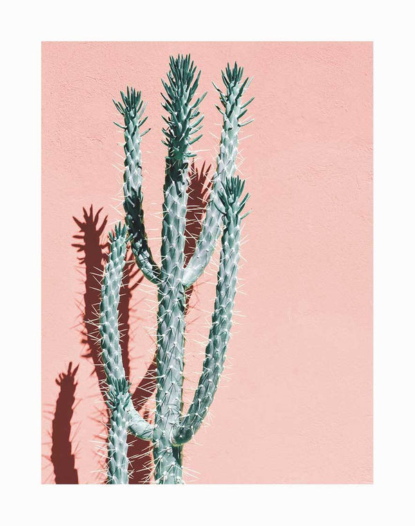 Photographic image of a tall green cactus casting a shadow on a light pink wall in bright sunlight, capturing the modern vibe of the Baja Unframed Art Print by Urban Road.