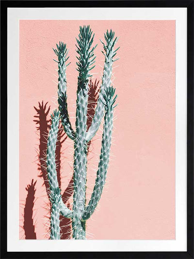 Baja Poster Framed Art Print