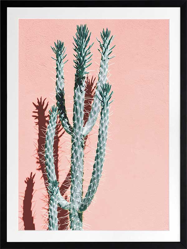 Baja Poster Framed Art Print