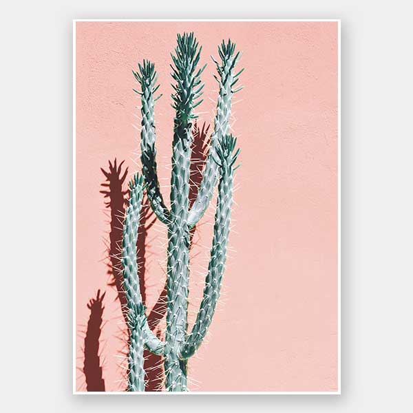 Baja Unframed Art Print