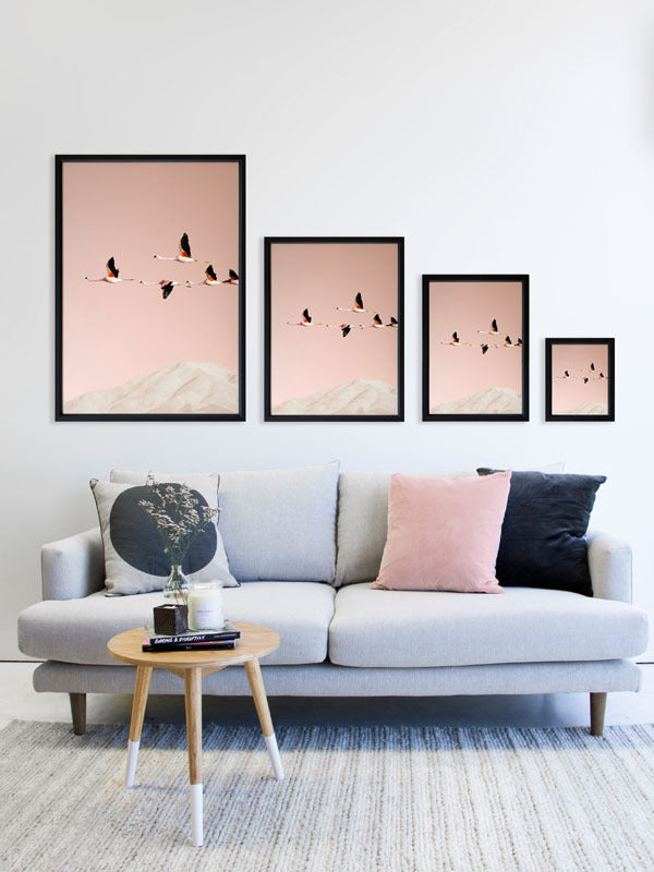 Flamingo Poster