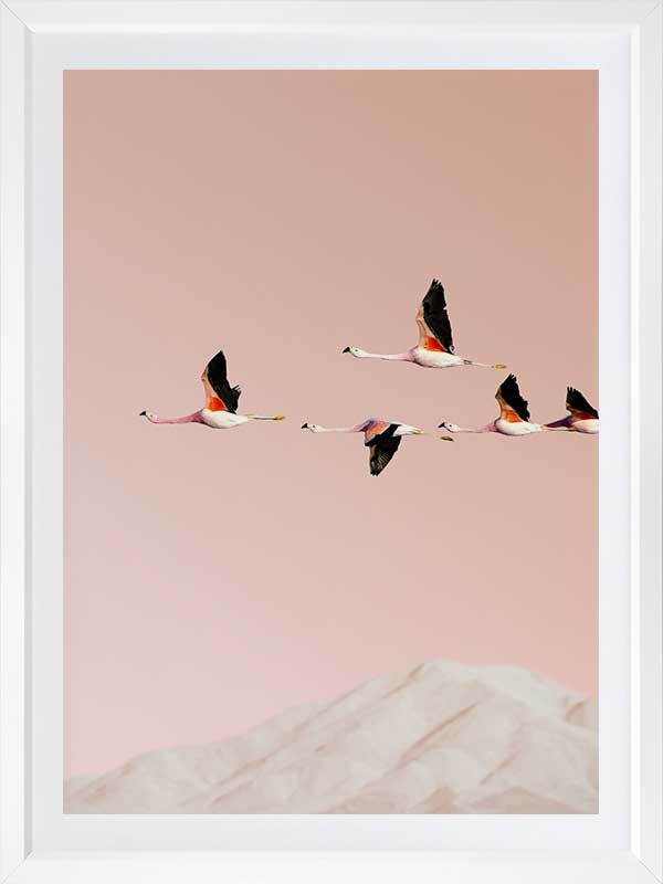 Flamingo Poster