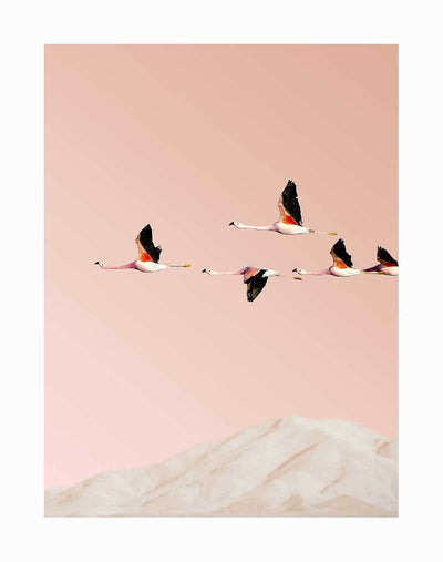 The Flamingo Unframed Art Print by Urban Road features five flamingos gliding across a blush sky above soft, light hills, creating a calm and minimalistic atmosphere.