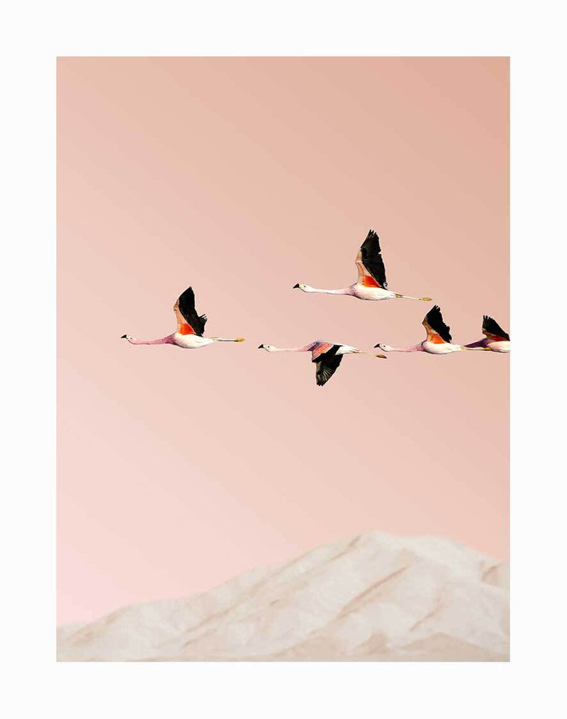The Flamingo Unframed Art Print by Urban Road features five flamingos gliding across a blush sky above soft, light hills, creating a calm and minimalistic atmosphere.