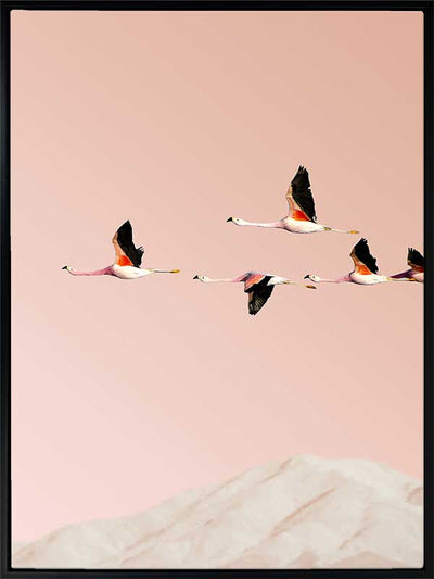 Flamingo Canvas Art Print