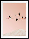Flamingo Poster Framed Art Print