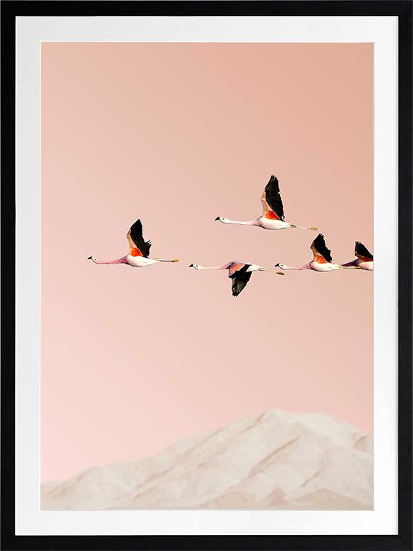 Flamingo Poster Framed Art Print