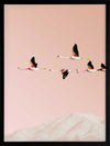 Flamingo Poster Framed Art Print