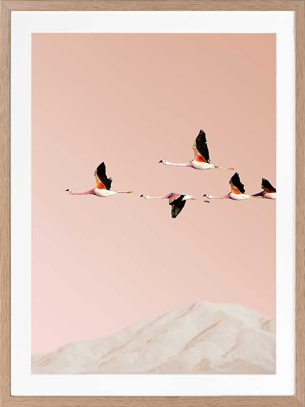 Flamingo Poster Framed Art Print