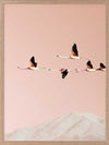 Flamingo Poster Framed Art Print