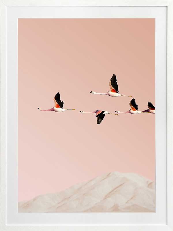 Flamingo Poster Framed Art Print