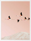 Flamingo Poster Framed Art Print