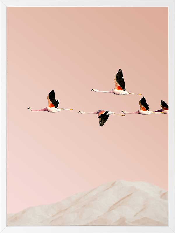 Flamingo Poster Framed Art Print