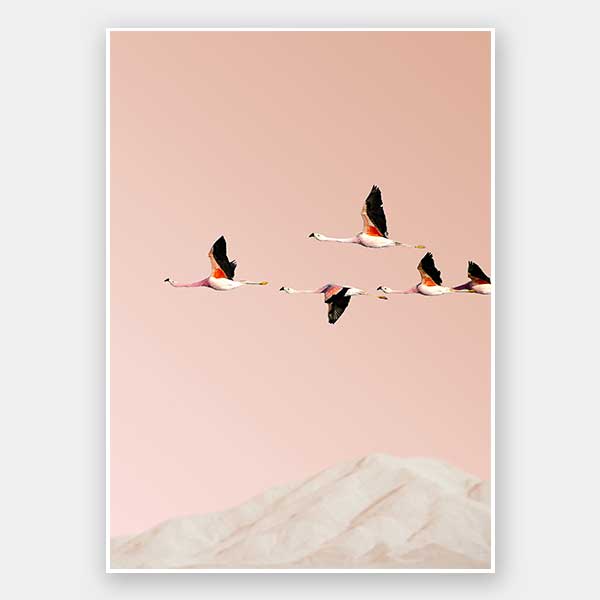 Flamingo Unframed Art Print