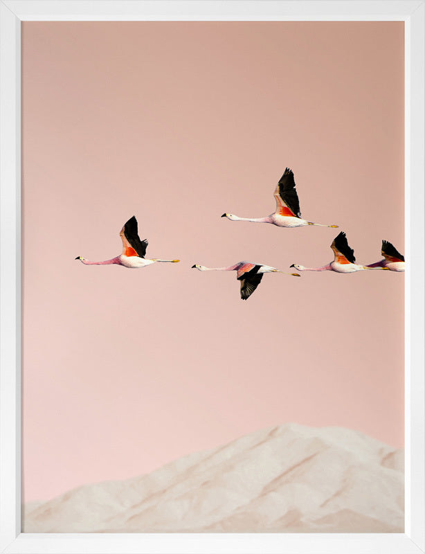 Flamingo Poster