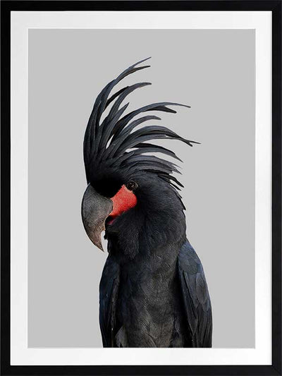 Bogart Poster Framed Art Print