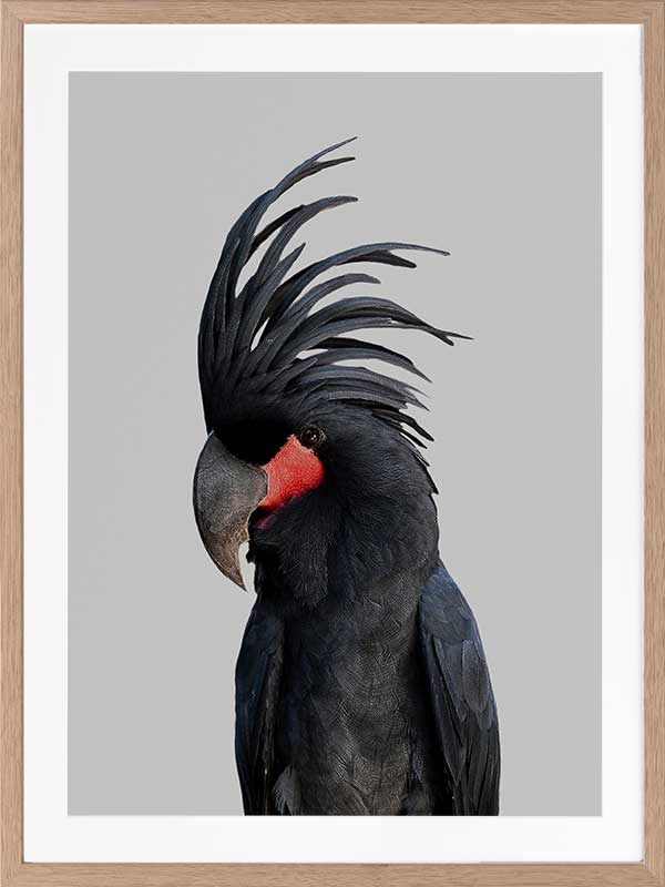 Bogart Poster Framed Art Print