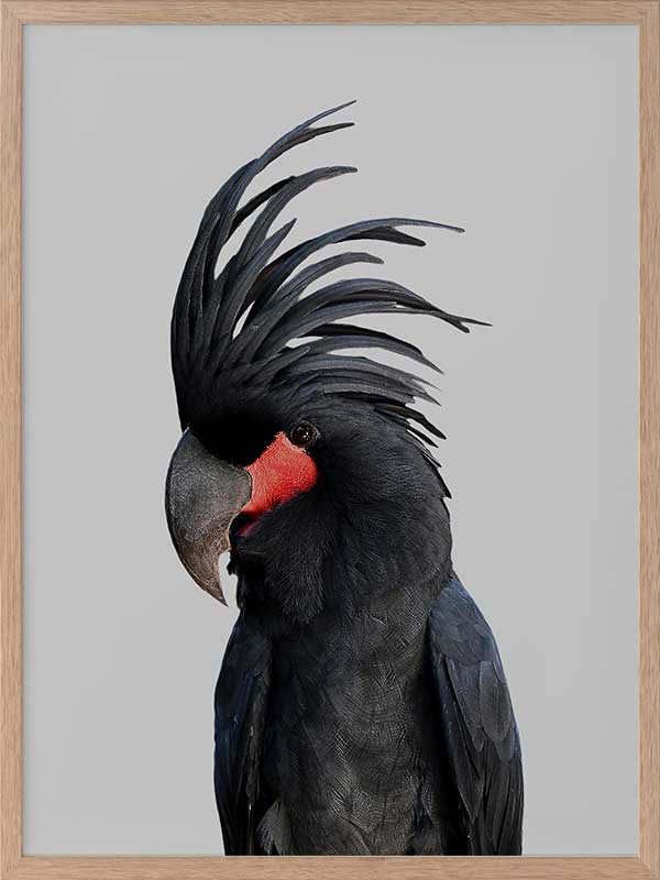 Bogart Poster Framed Art Print