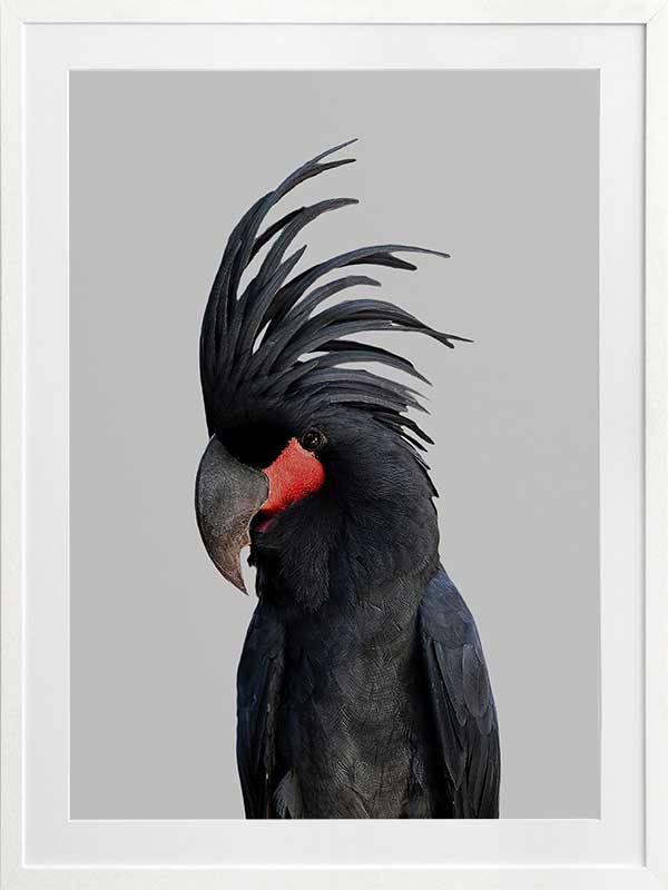 Bogart Poster Framed Art Print