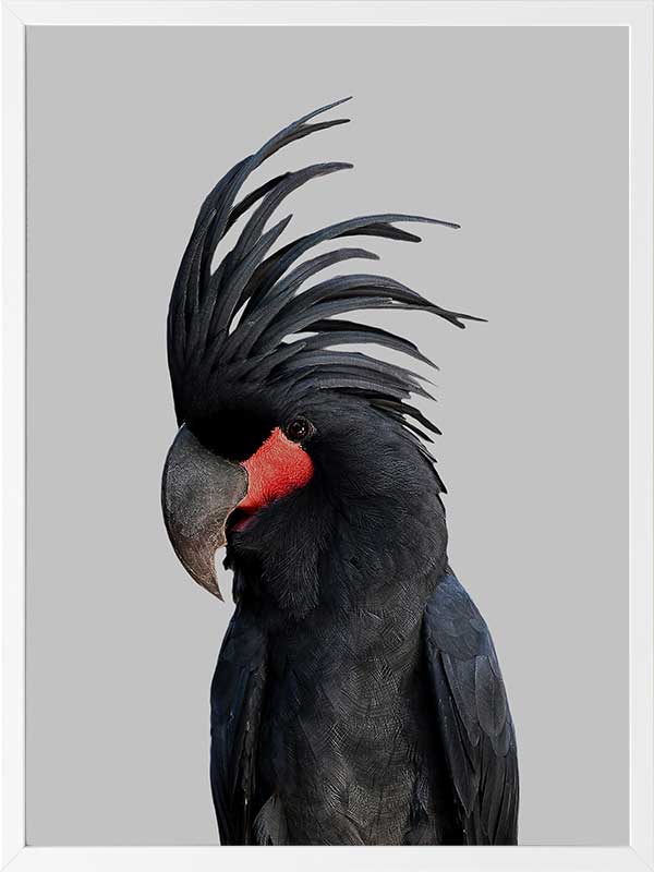 Bogart Poster Framed Art Print