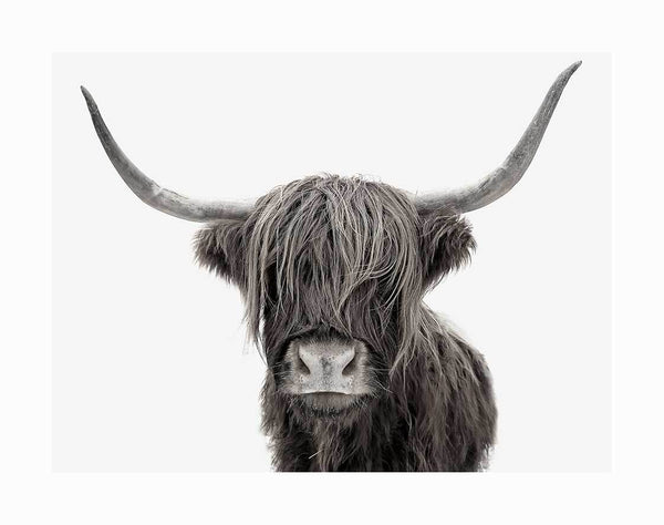 The Dhonn Unframed Art Print by Urban Road features a Highland cow with long shaggy hair and curved horns, standing forward against a plain white background.