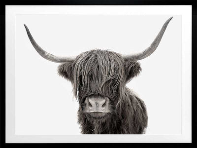 Dhonn Poster Framed Art Print