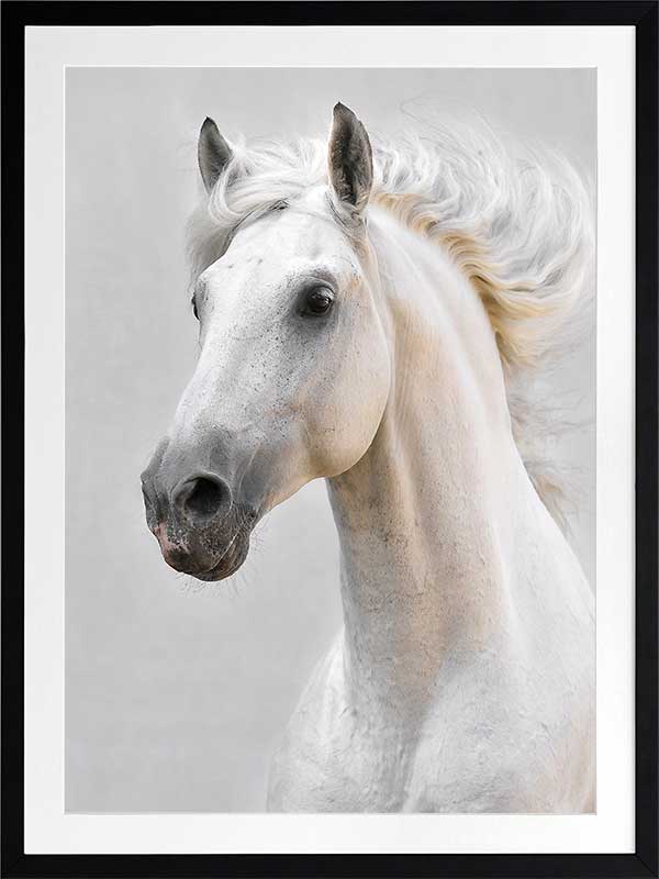 White Beauty Poster Framed Art Print