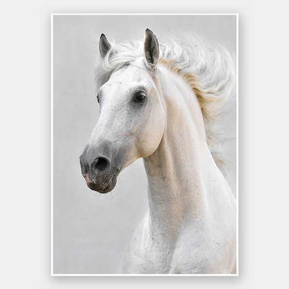 White Beauty Unframed Art Print